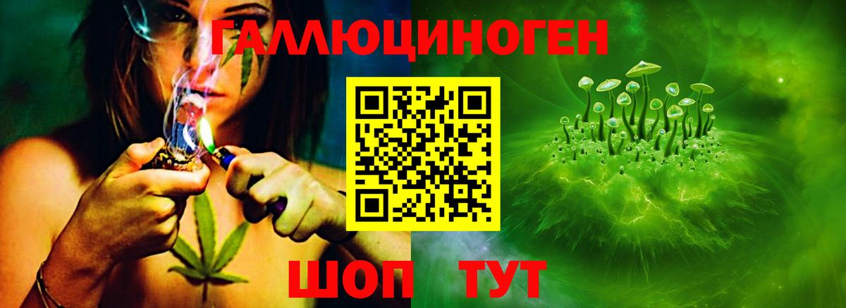 Черногорск  Псилоцибиновые грибы прущие грибы  Вход с VPN 